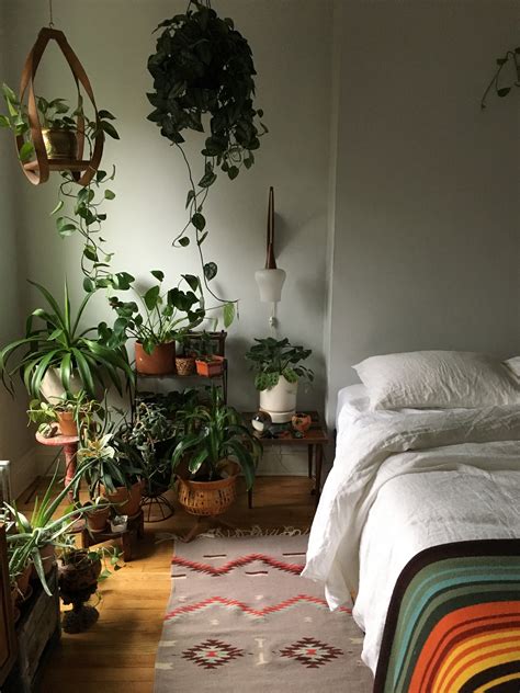 Plantas no quarto: aqui estão aquelas que te ajudam a dormir